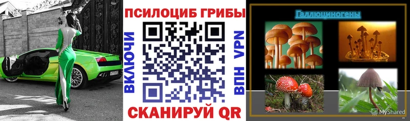 Псилоцибиновые грибы Psilocybine cubensis  как найти закладки  Карабулак 