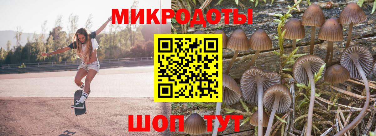 Карабулак  Псилоцибиновые грибы мухоморы  Вход с VPN  Галлюциногенные грибы Psilocybe 