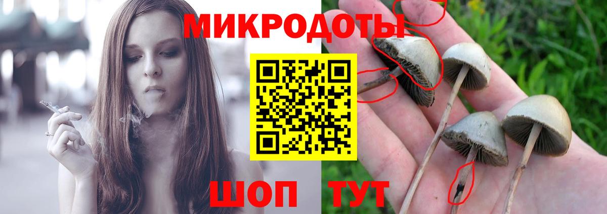 Псилоцибиновые грибы Cubensis Карабулак
