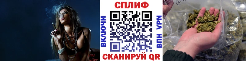 Марихуана сатива  Карабулак 